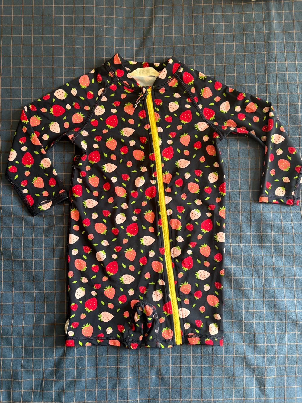 Jan and Jul - Kids Navy Strawberry Print Zip Front Swimsuit